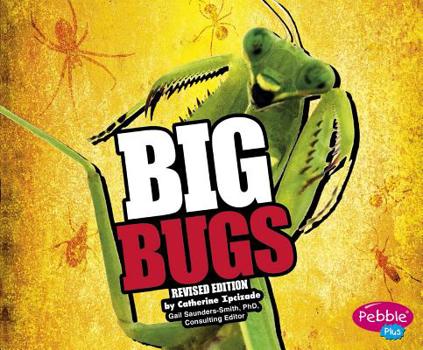 Paperback Big Bugs Book