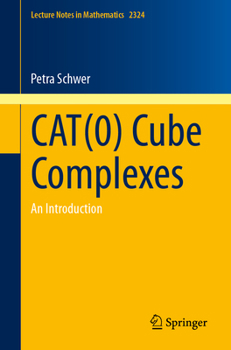 Paperback Cat(0) Cube Complexes: An Introduction Book