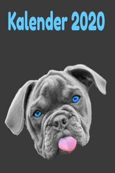 Bulldoge Kalender 2020: Süßer Hunde Kalender 2020 für Französche Bulldogge Fans. 120 S. Jahresübersicht, Monatsübersicht und Wochenplaner sowie Seiten für Notizen. (German Edition)