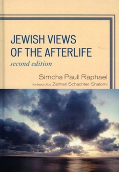 Paperback Jewish Views of the Afterlife Book