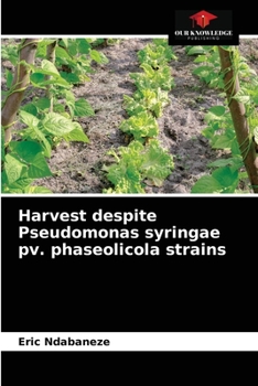 Paperback Harvest despite Pseudomonas syringae pv. phaseolicola strains Book
