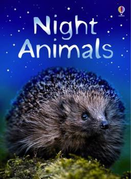Hardcover Night Animals: Level 1 Book