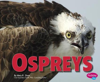 Ospreys - Book  of the Birds of Prey
