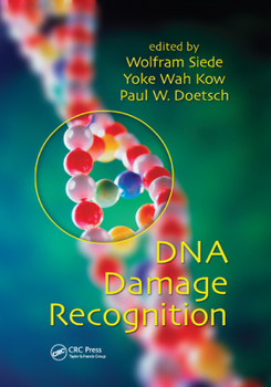 Paperback DNA Damage Recognition Book