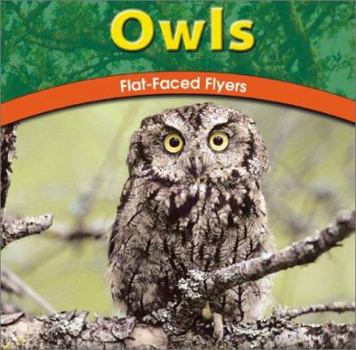 Hardcover Owls: Flat-Faced Flyers Book