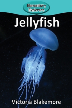 Jellyfish (28)