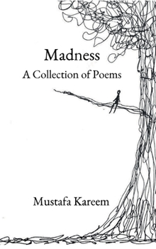 Hardcover Madness: A Collection of Poems Book