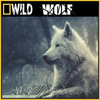 Paperback Wolf Calendar 2021: Wolf calendar 2021 "8.5x8.5" Inch 16 Months JAN 2021 TO APR 2022 finished and Glossy Book