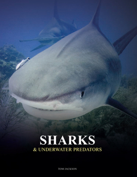 Hardcover Sharks & Underwater Predators Book