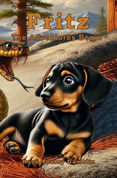 Paperback Fritz: The Adventures Begin Book