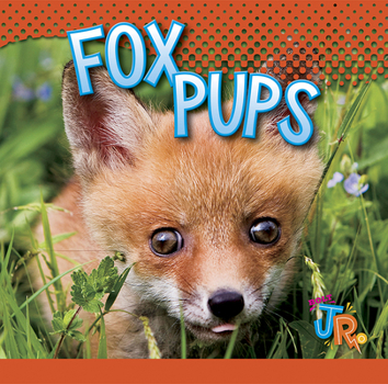 Paperback Fox Pups Book