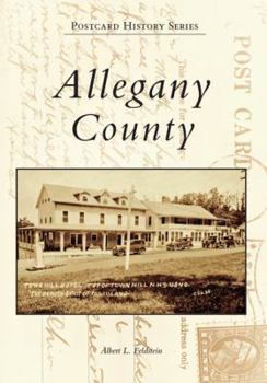 Paperback Allegany County Book