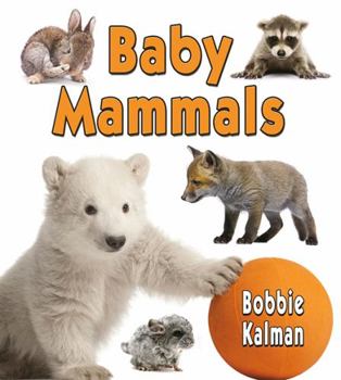 Paperback Baby Mammals Book