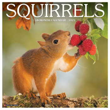 Calendar Squirrels 2021 Wall Calendar Book