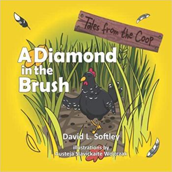 Paperback A Diamond in the Brush Book