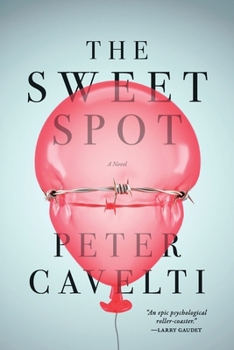 Paperback The Sweet Spot Book