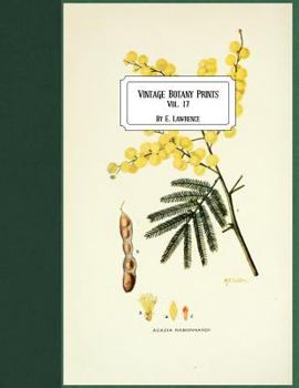 Paperback Vintage Botany Prints: Vol. 17 Book