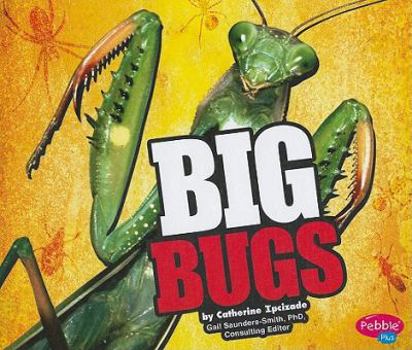 Library Binding Big Bugs Book