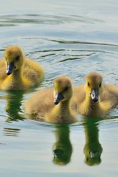 Paperback Adorable Yellow Baby Canada Goose Goslings Swimming on a Lake Journal: 150 Page Lined Notebook/Diary Book