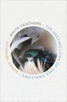 Hardcover White Feathers: The Nesting Lives of Tree Swallows Book