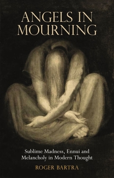 Hardcover Angels in Mourning: Sublime Madness, Ennui and Melancholy in Modern Thought Book