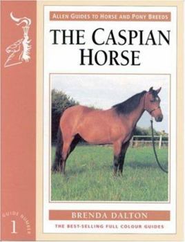 Caspian Horse