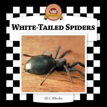 Library Binding White-Tailed Spiders Book