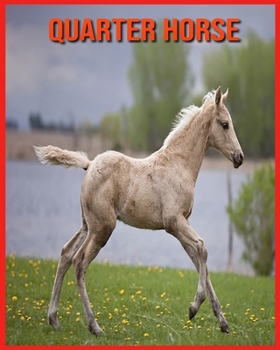 Paperback Quarter Horse: Recueil d'Informations Amusantes pour Enfants & Photos Etonnantes [French] Book