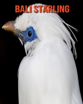 Bali Starling: Amazing Facts & Pictures