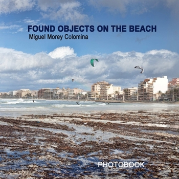 Paperback Found objects on the beach Book