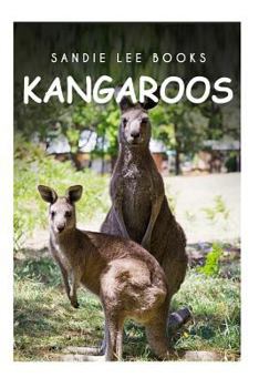 Paperback Kangaroos - Sandie Lee Books Book