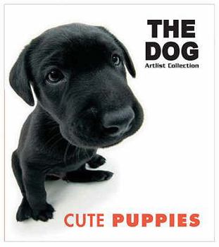 Paperback Cute Puppies Book