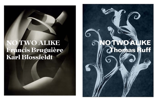 No Two Alike: Karl Blossfeldt, Francis Bruguière, Thomas Ruff