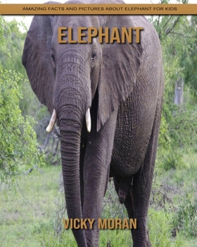 Paperback Elephant: Amazing Facts and Pictures about Elephant for Kids Book