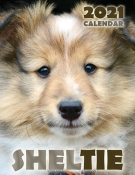 Paperback Sheltie 2021 Calendar Book