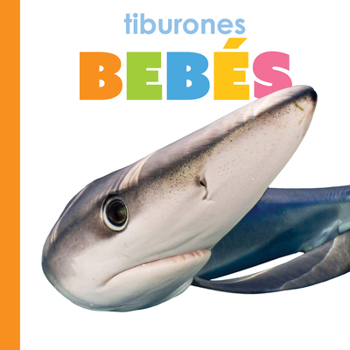 Library Binding Tiburones Bebés: Spanish Edition [Spanish] Book