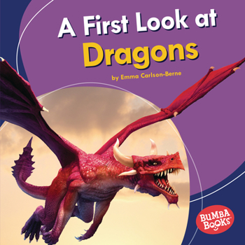 Library Binding A First Look at Dragons Book