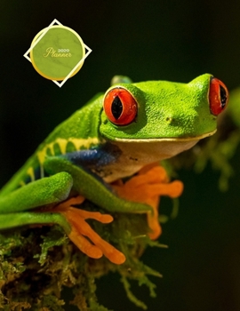 Paperback 2020 Planner: New years goal oriented organiser calendar for green tree frog lovers - Monthly and weekly planning sections, goals, t Book