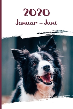 Kalender 2020: Border Collie Hunde Tageskalender 1. Halbjahr Januar Juni ca DIN A5 weiß über 190 Seiten (German Edition)
