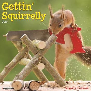 Calendar Gettin' Squirrelly 2019 Wall Calendar Book