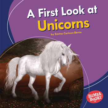 Library Binding A First Look at Unicorns Book