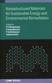 Hardcover Nanostructured Materials for Sustainable Energy and Environmental Remediation Book