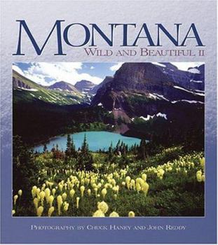 Hardcover Montana Wild and Beautiful II Book