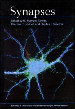 Paperback Synapses Book