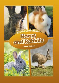Hares and Rabbits - Book  of the Core Content Science - Animal Look-Alikes