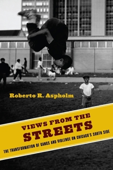 Paperback Views from the Streets: The Transformation of Gangs and Violence on Chicago's South Side Book