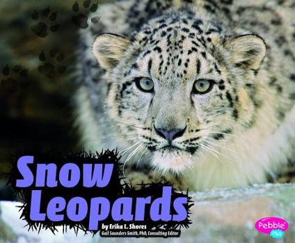 Hardcover Snow Leopards Book