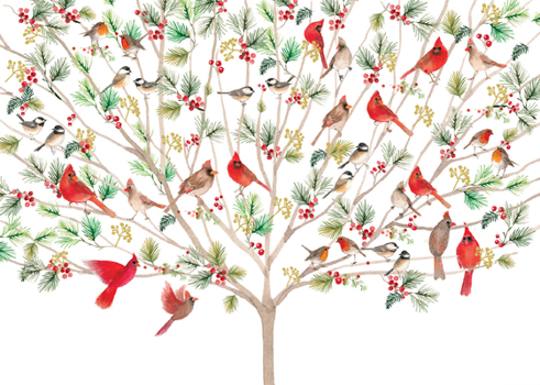 Misc. A Merry Perch Deluxe Boxed Holiday Cards (20 Cards, 21 Self-Sealing Envelopes) Book