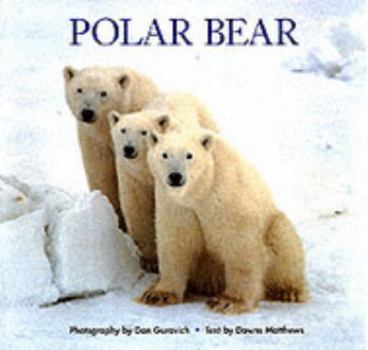 Paperback Polar Bear Book