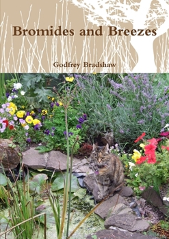 Paperback Bromides and Breezes Book